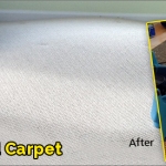 Water Damage Carpet Malibu